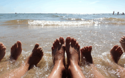 L’ACTUALITE DE DROIT PUBLIC  – MAI JUIN JUILLET 2025 – NE RIEN LOUPER AVANT D’ALLER SUR LA PLAGE !